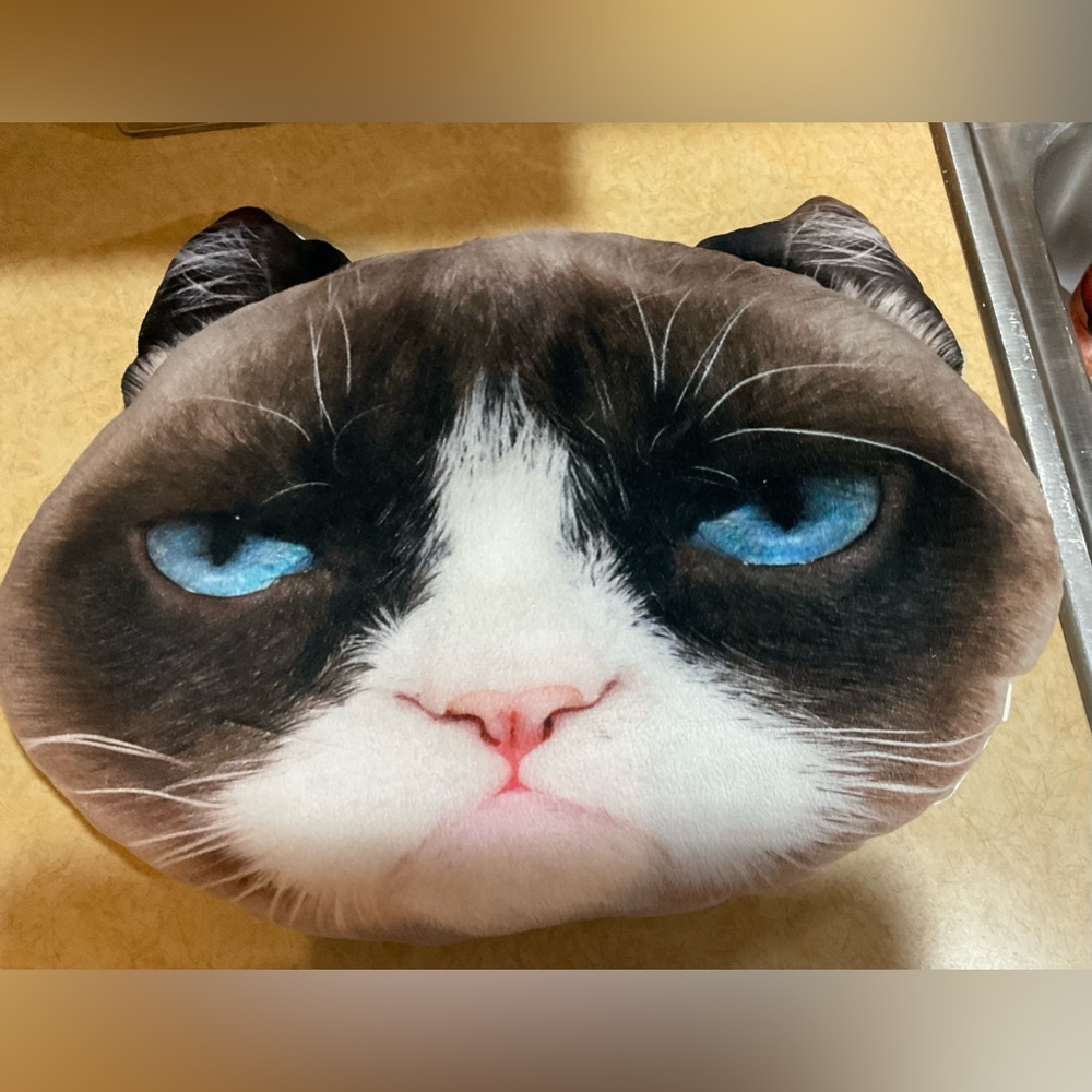 Jakks: Grumpy Cat  about 18 “ inches wide  n 13 “ inches tall decorative pillow - Picture 2 of 6